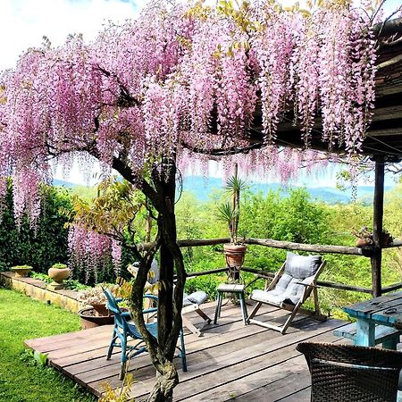 Tuscan Hills - Stonehouse, Garden & Pool Vicchio Eksteriør billede