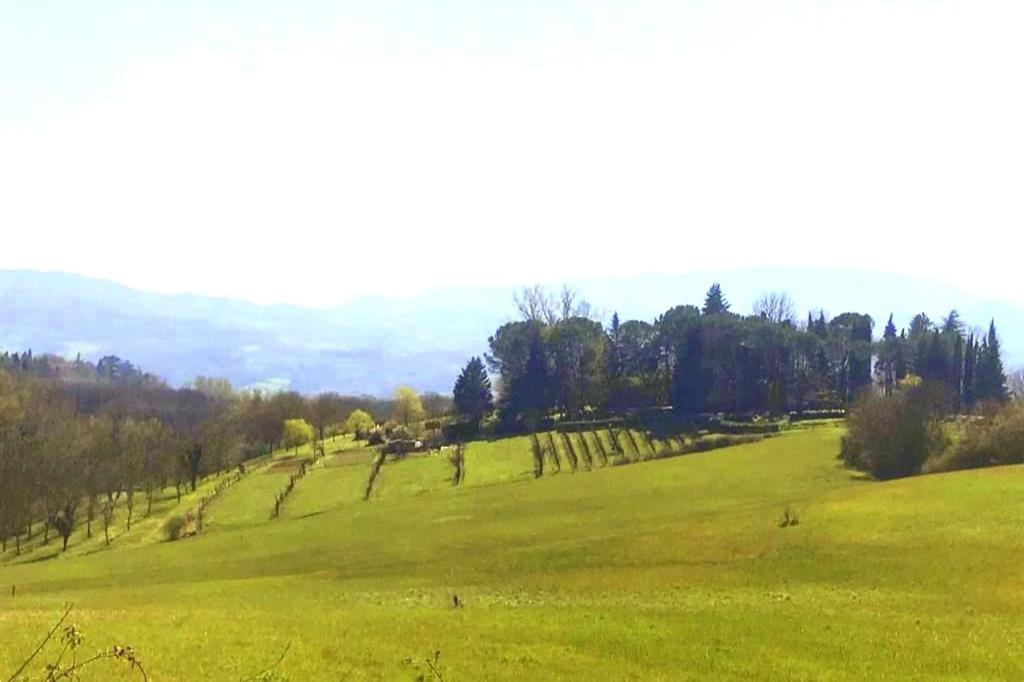 Tuscan Hills - Stonehouse, Garden & Pool Vicchio Eksteriør billede