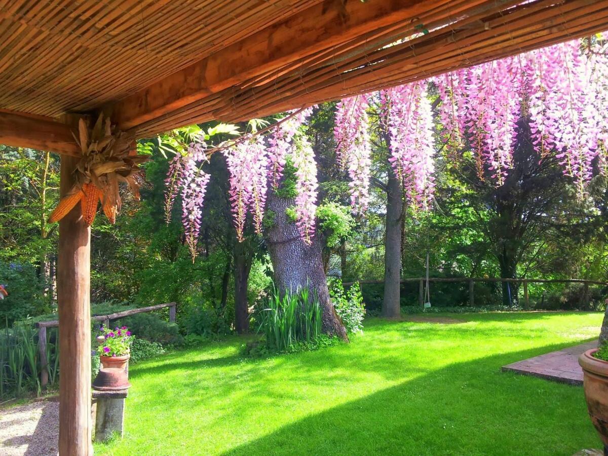 Tuscan Hills - Stonehouse, Garden & Pool Vicchio Eksteriør billede