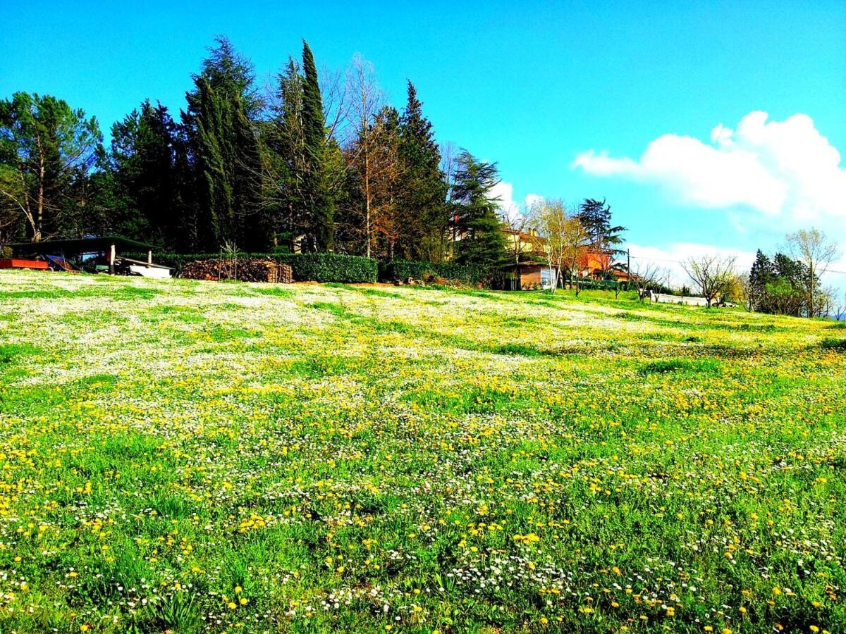 Tuscan Hills - Stonehouse, Garden & Pool Vicchio Eksteriør billede