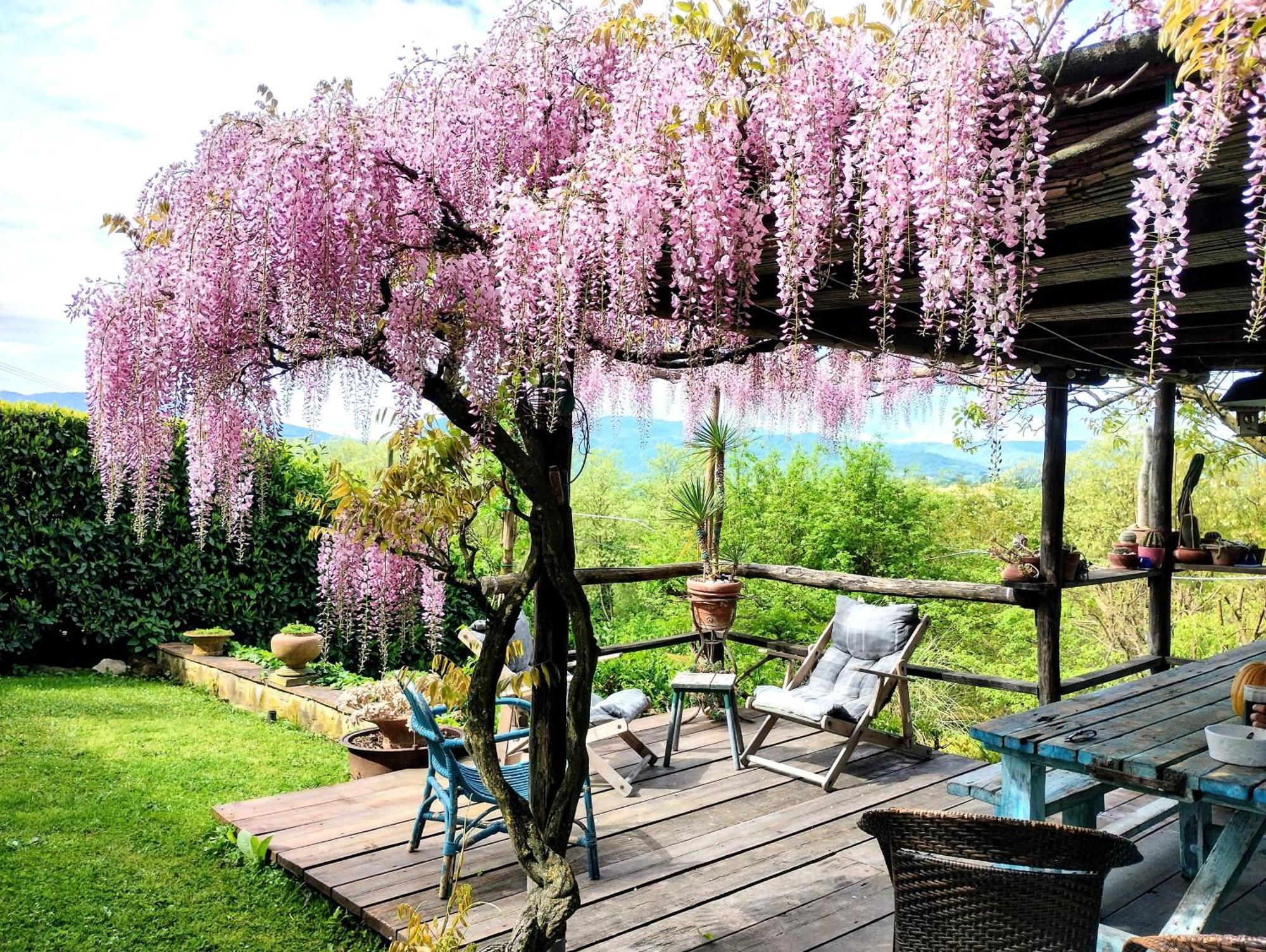 Tuscan Hills - Stonehouse, Garden & Pool Vicchio Eksteriør billede